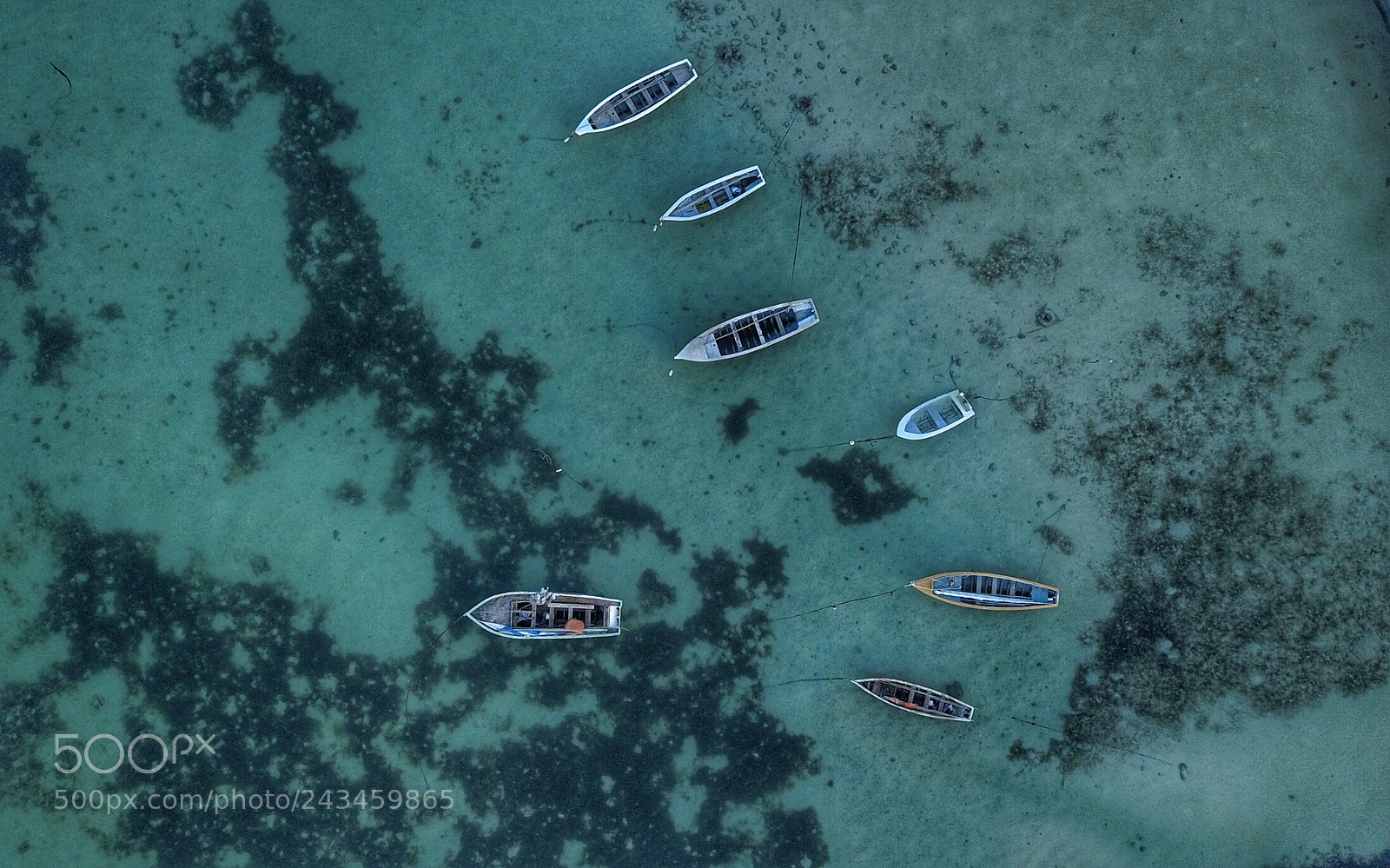 DJI FC220 sample photo. Crystal clear photography