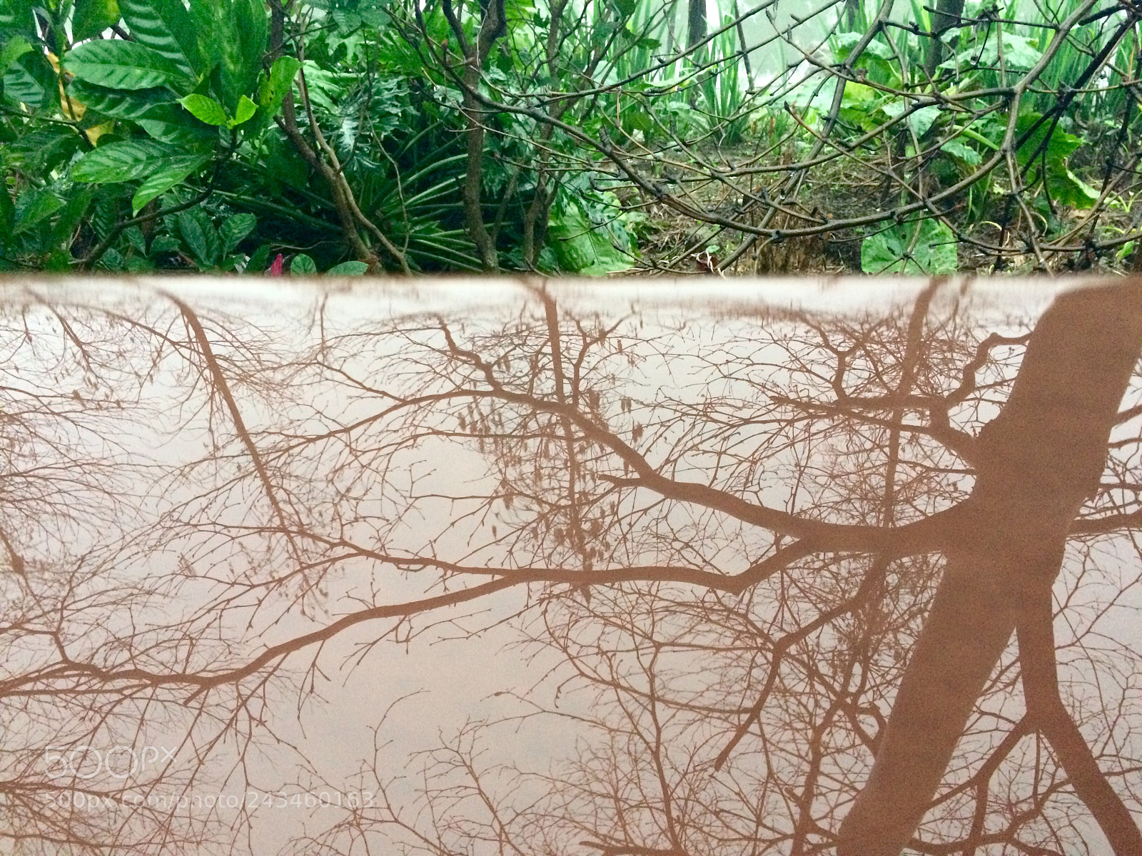 Apple iPhone 5s sample photo. Younger than me photography