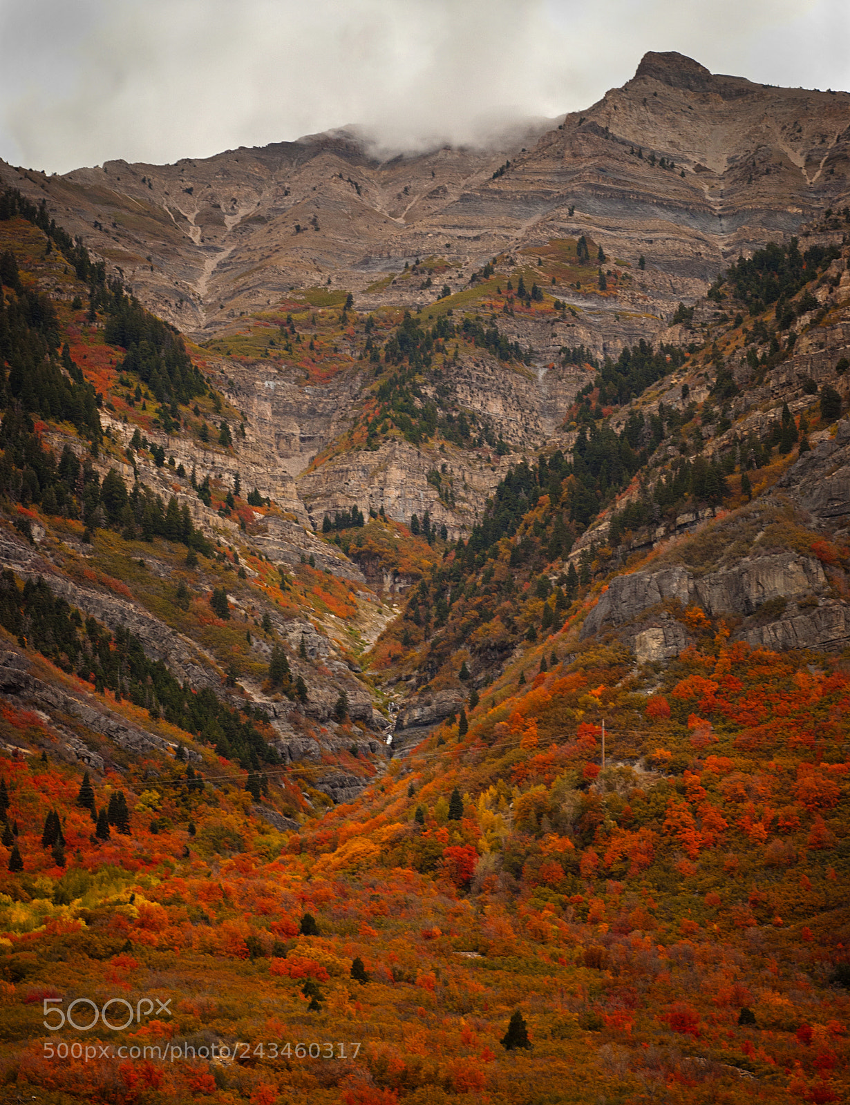 Nikon D80 sample photo. Autumn feelings photography