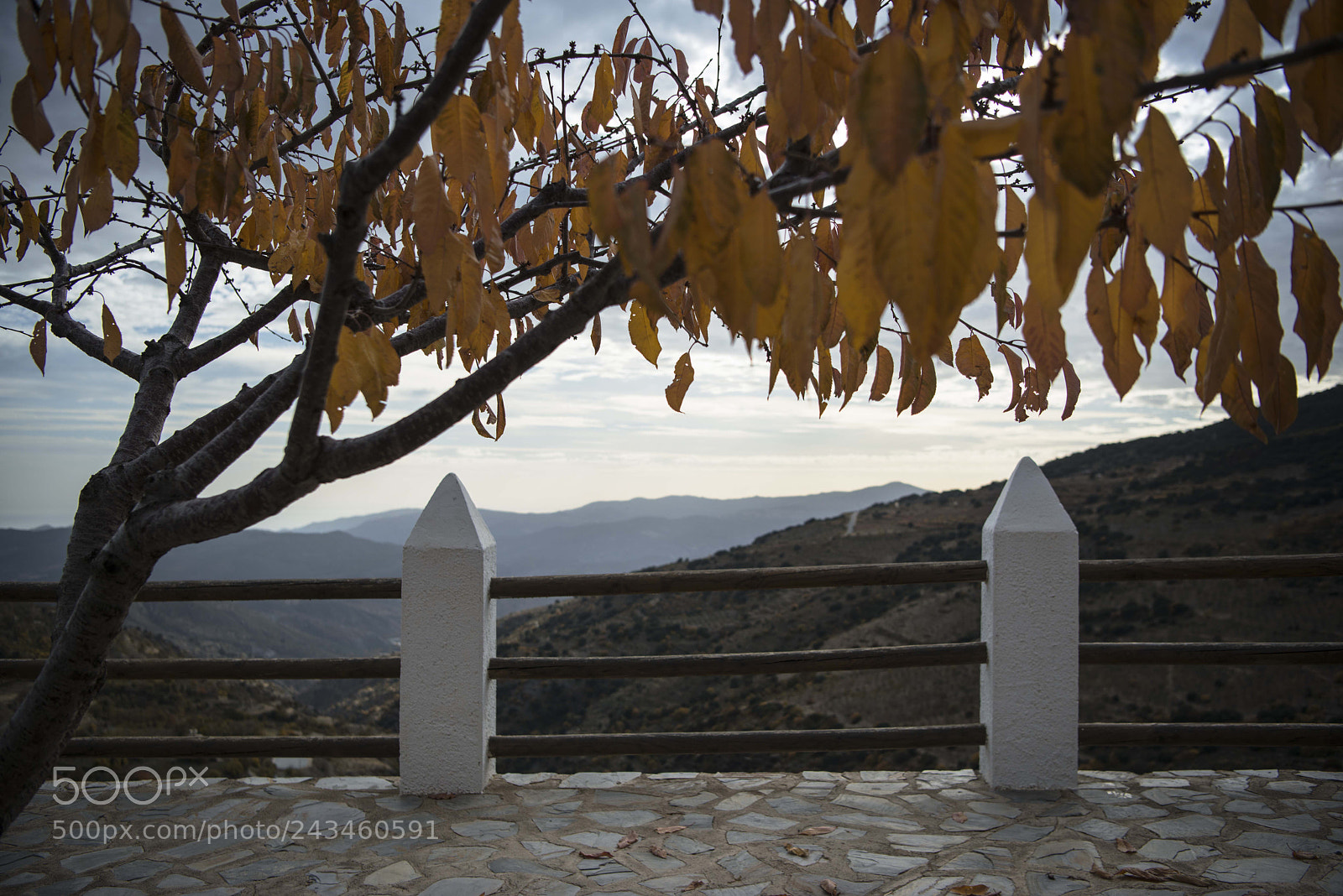 Nikon D800 sample photo. 17-11-16_52-2.jpg photography
