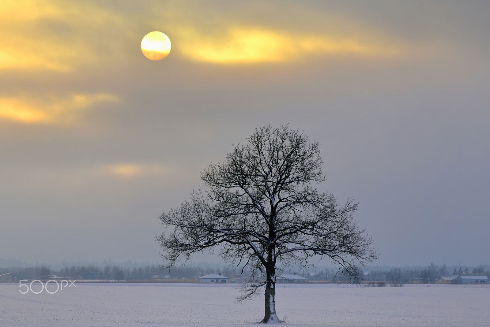 Nikon D3400 sample photo. Short winter day photography