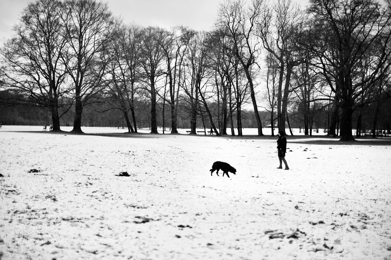 Canon EOS 5DS sample photo. In a park photography