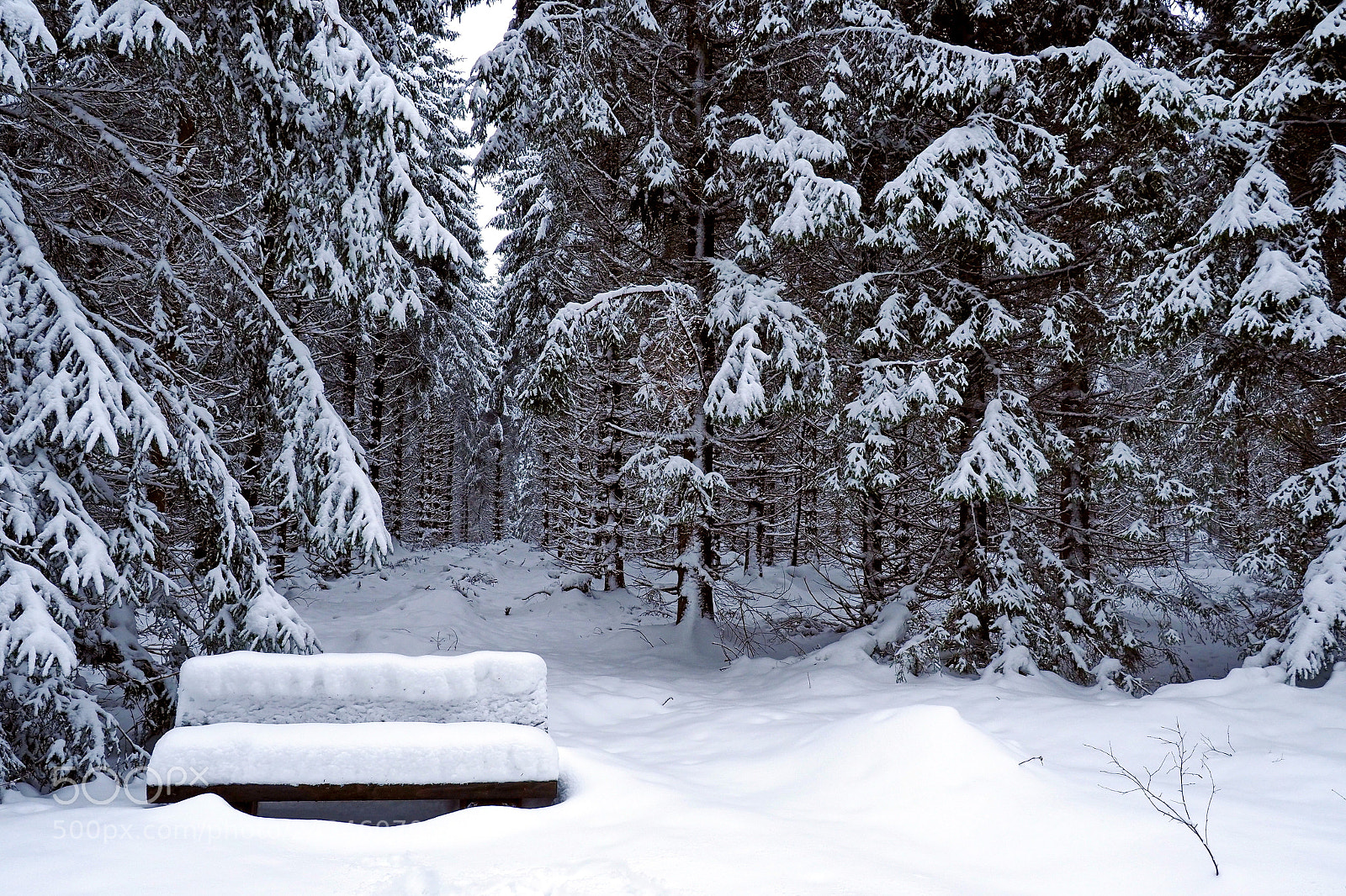 Olympus OM-D E-M1 Mark II sample photo. A place to rest photography