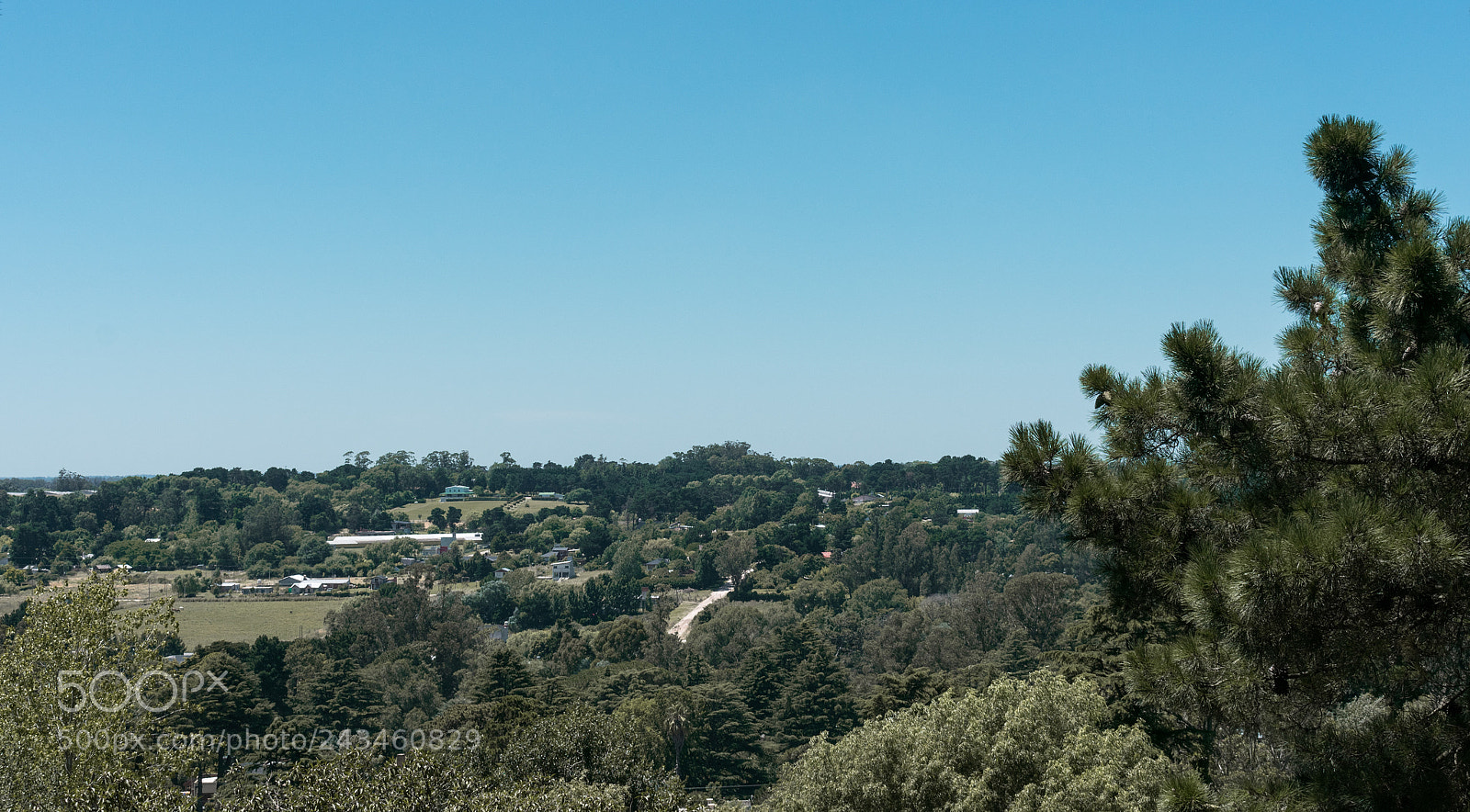 Nikon D3400 sample photo. Vista natural photography