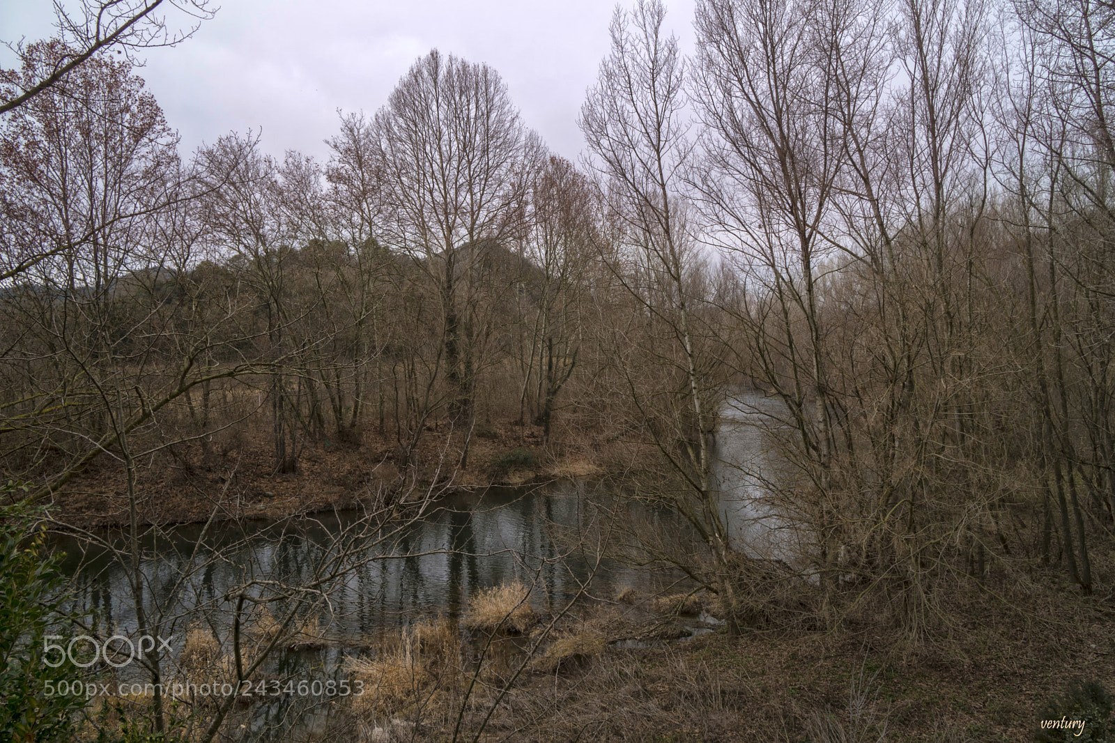 Sony a6500 sample photo. Landscape with river photography
