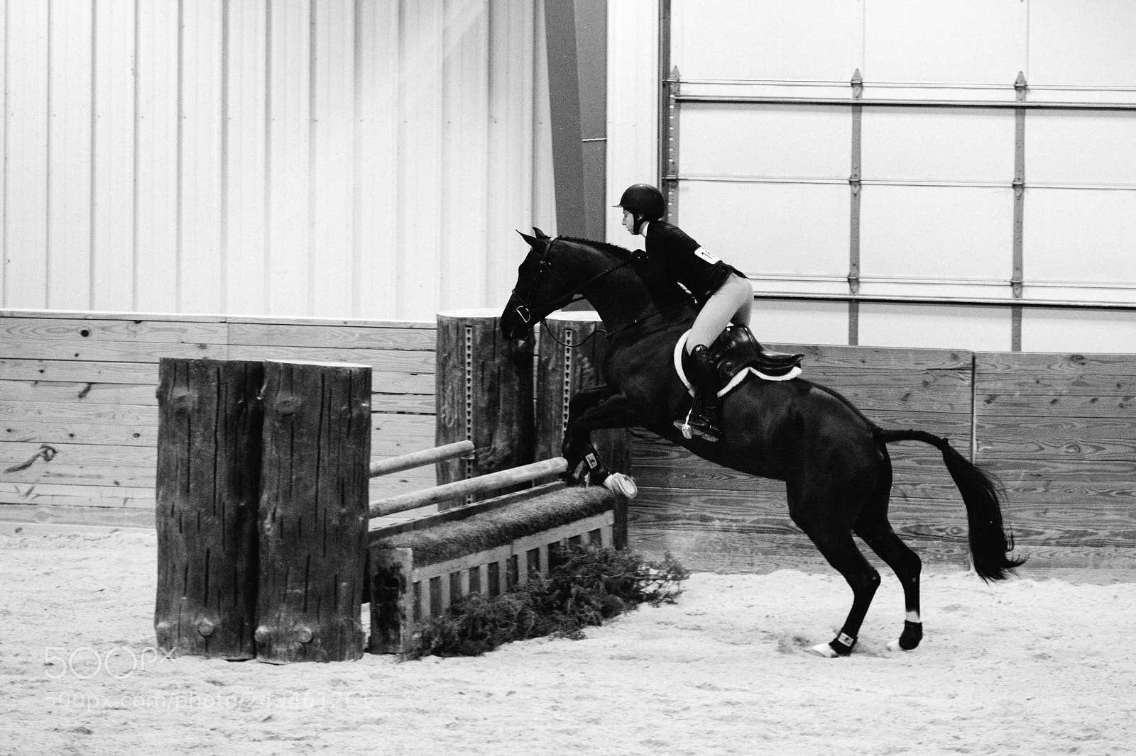 Fujifilm X-T2 sample photo. World equestrian center photography