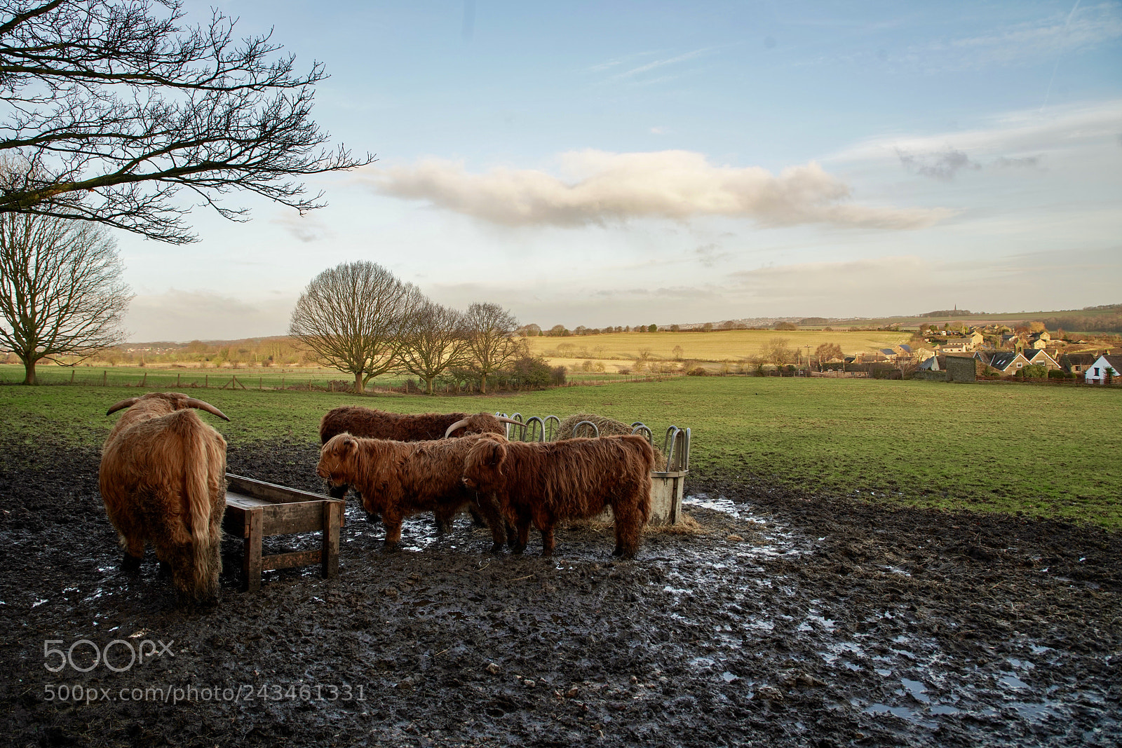Sony a7R III sample photo. Same place as this photography