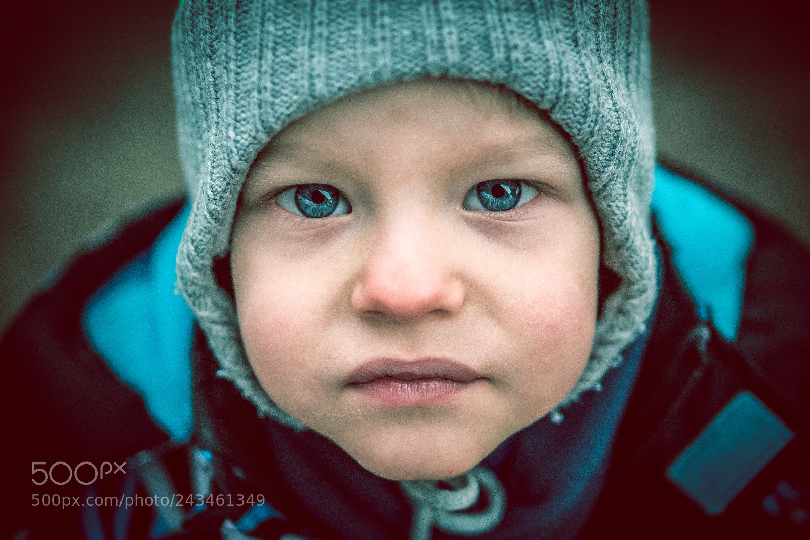 Panasonic Lumix DC-GH5 sample photo. Basilisk eyes photography