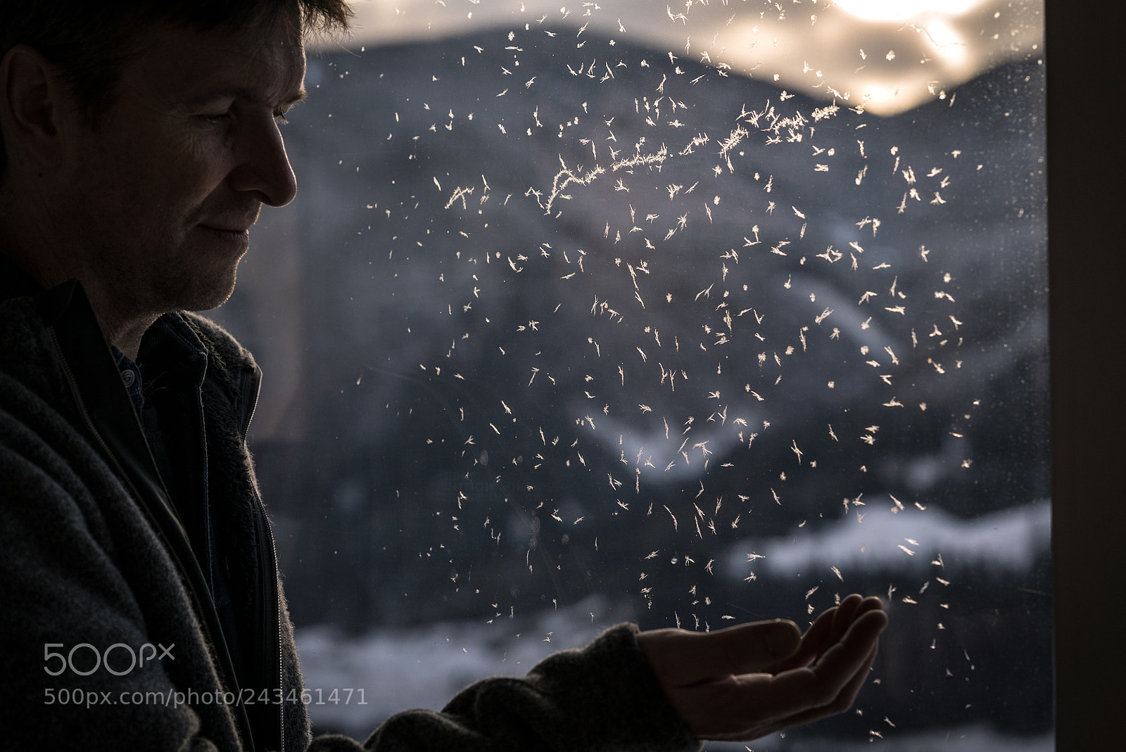 Sony a7S sample photo. Christian am fenstr photography