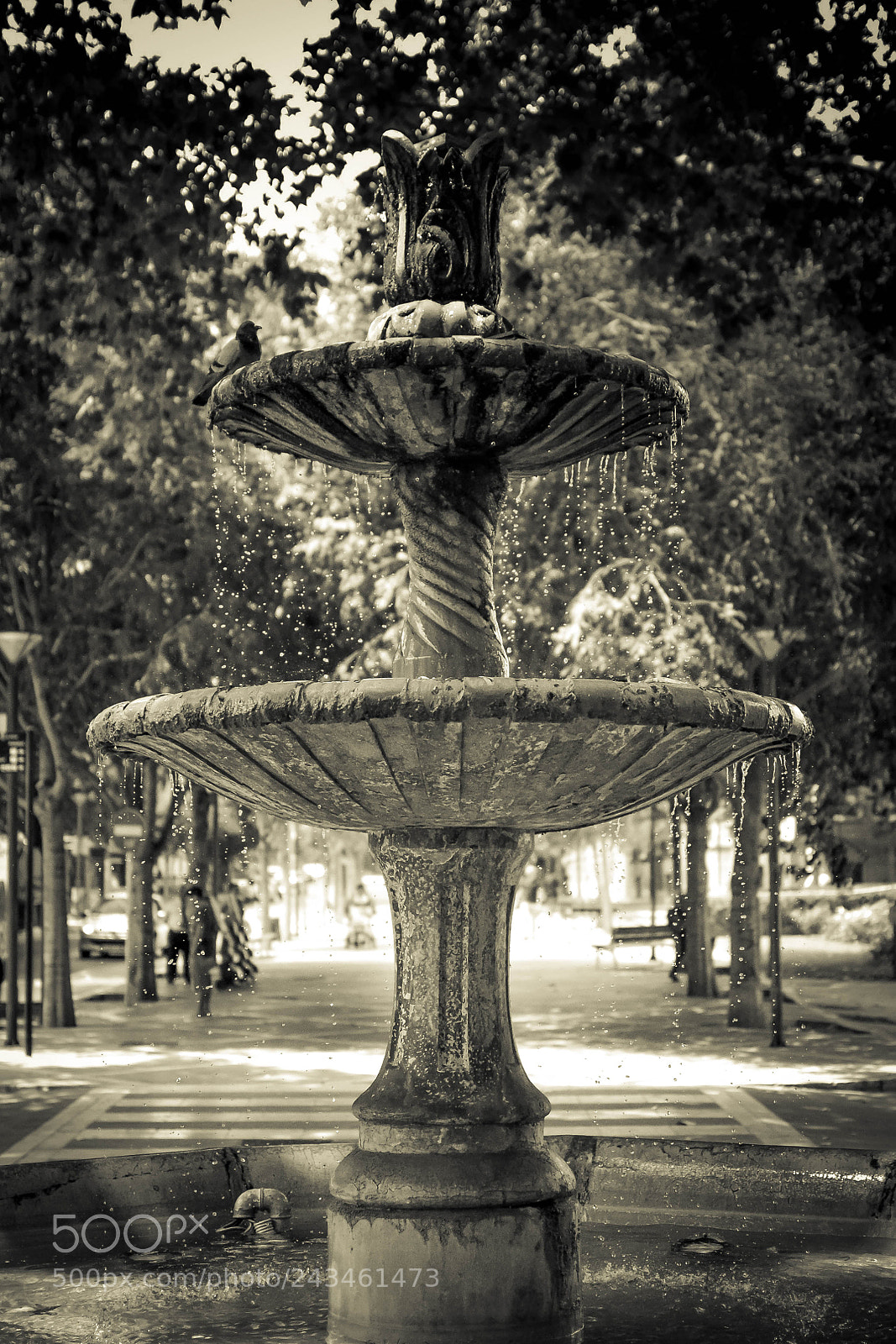 Nikon D3100 sample photo. Fountain in plama de photography