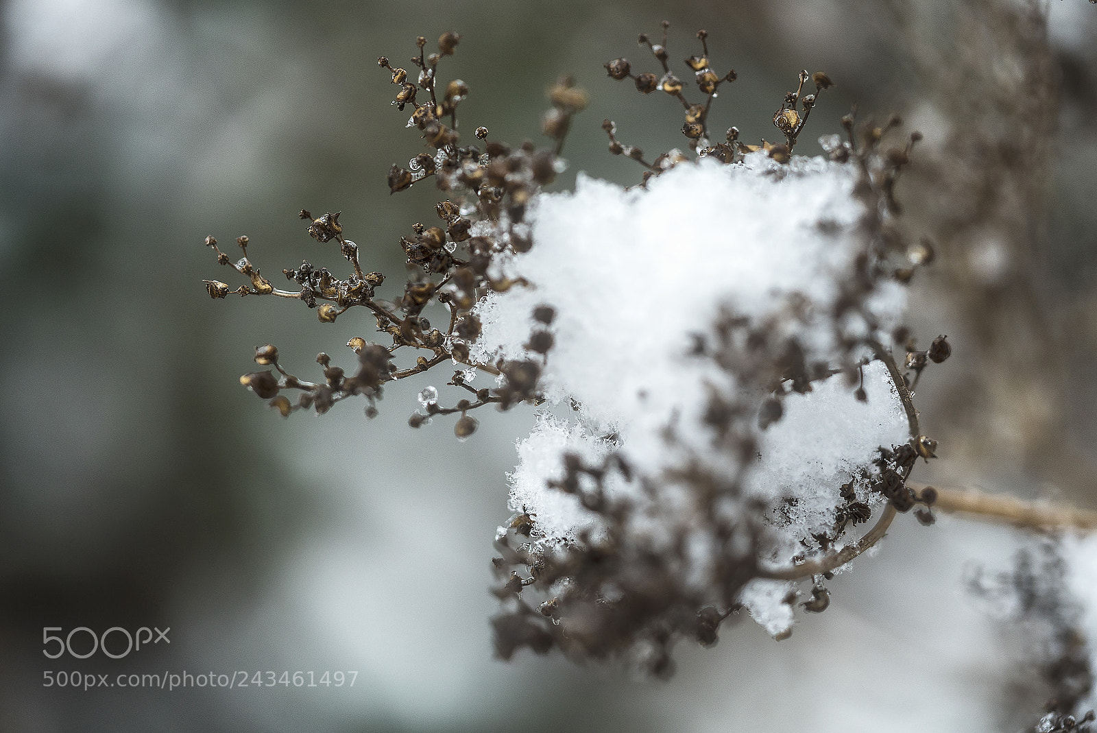 Sony a7S sample photo. Dsc photography