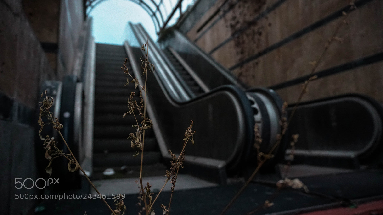 Sony a6300 sample photo. Dsc photography