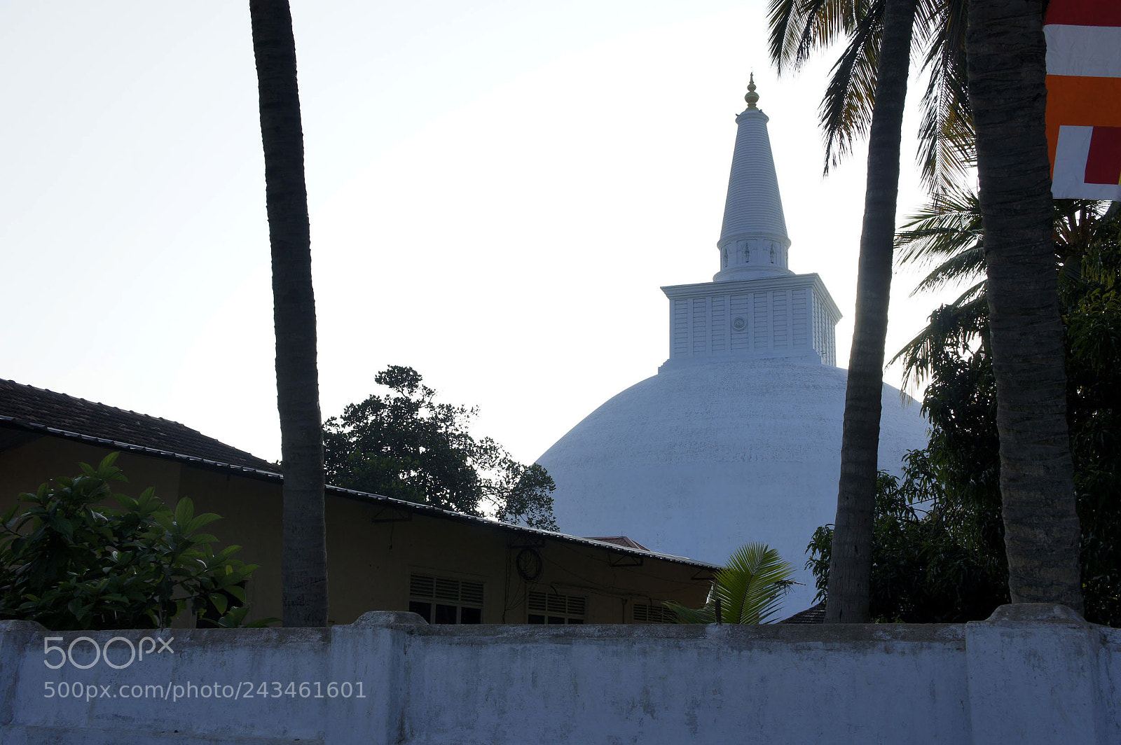 Sony Alpha NEX-5 sample photo. Sri lanka 2014, shoot photography
