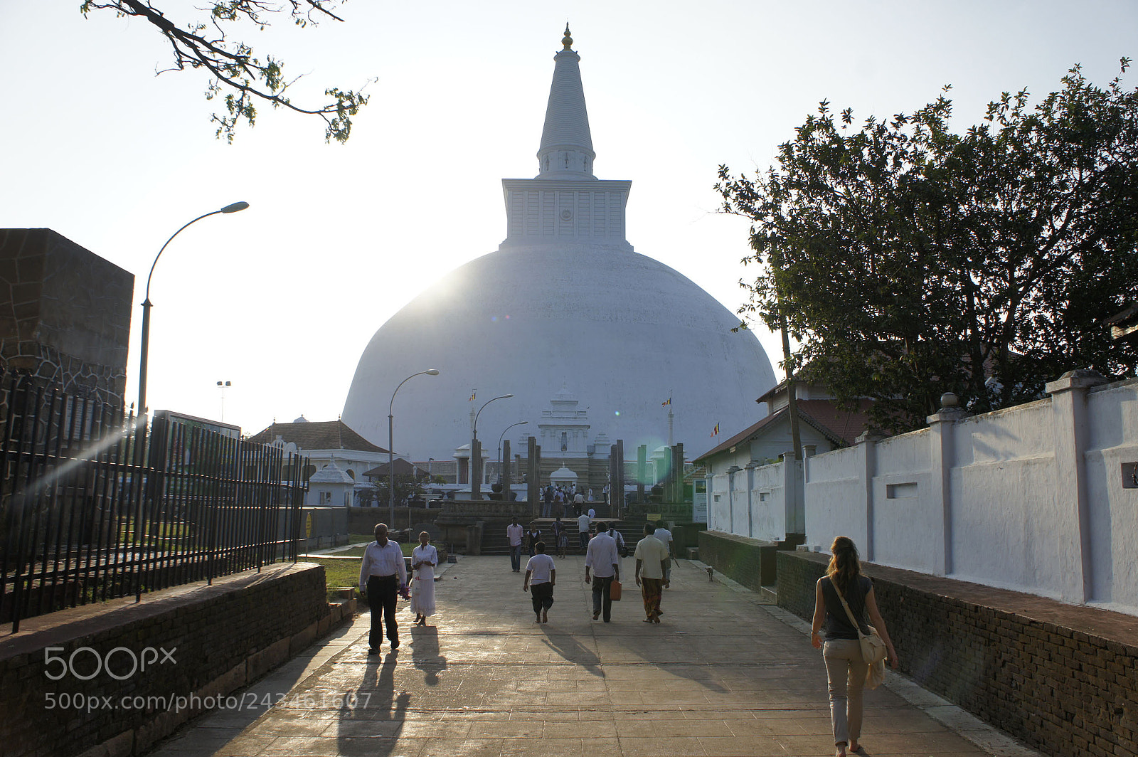 Sony Alpha NEX-5 sample photo. Sri lanka 2014, shoot photography