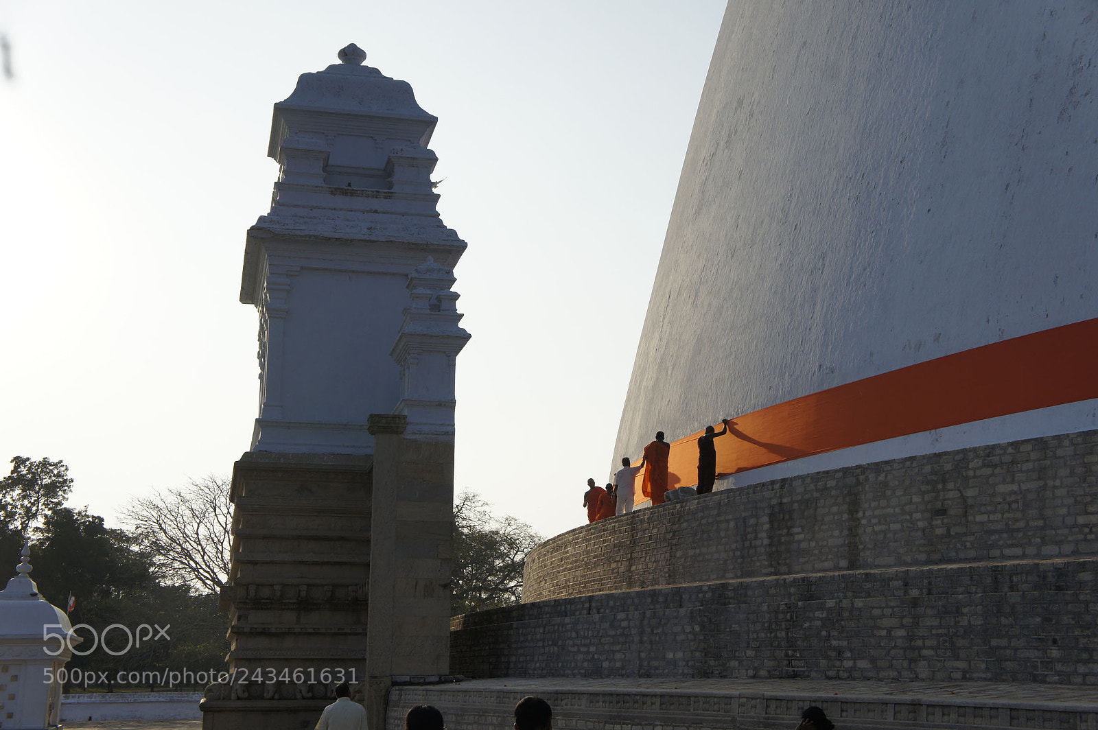 Sony Alpha NEX-5 sample photo. Sri lanka 2014, shoot photography