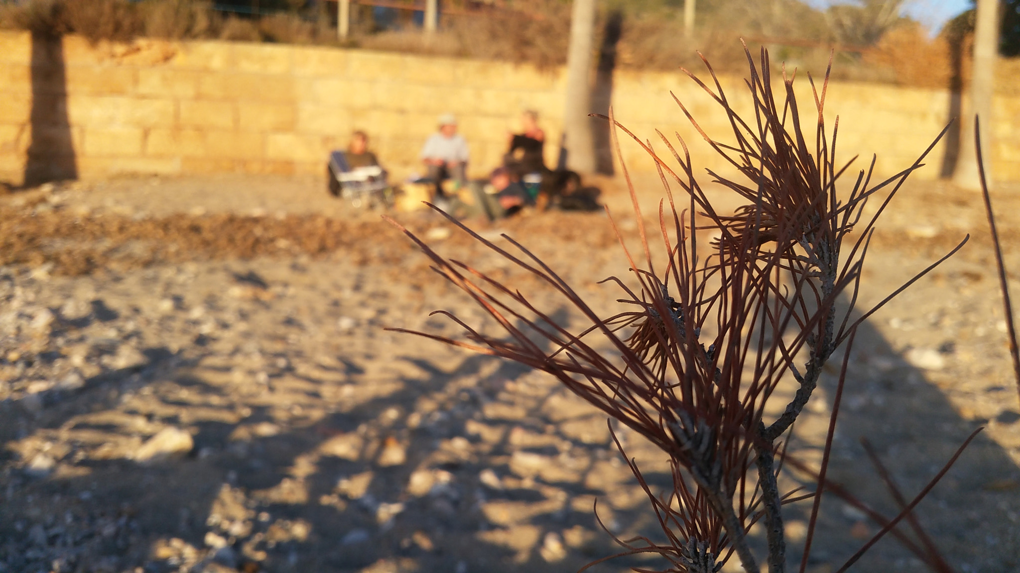 Samsung Galaxy S5 LTE-A sample photo