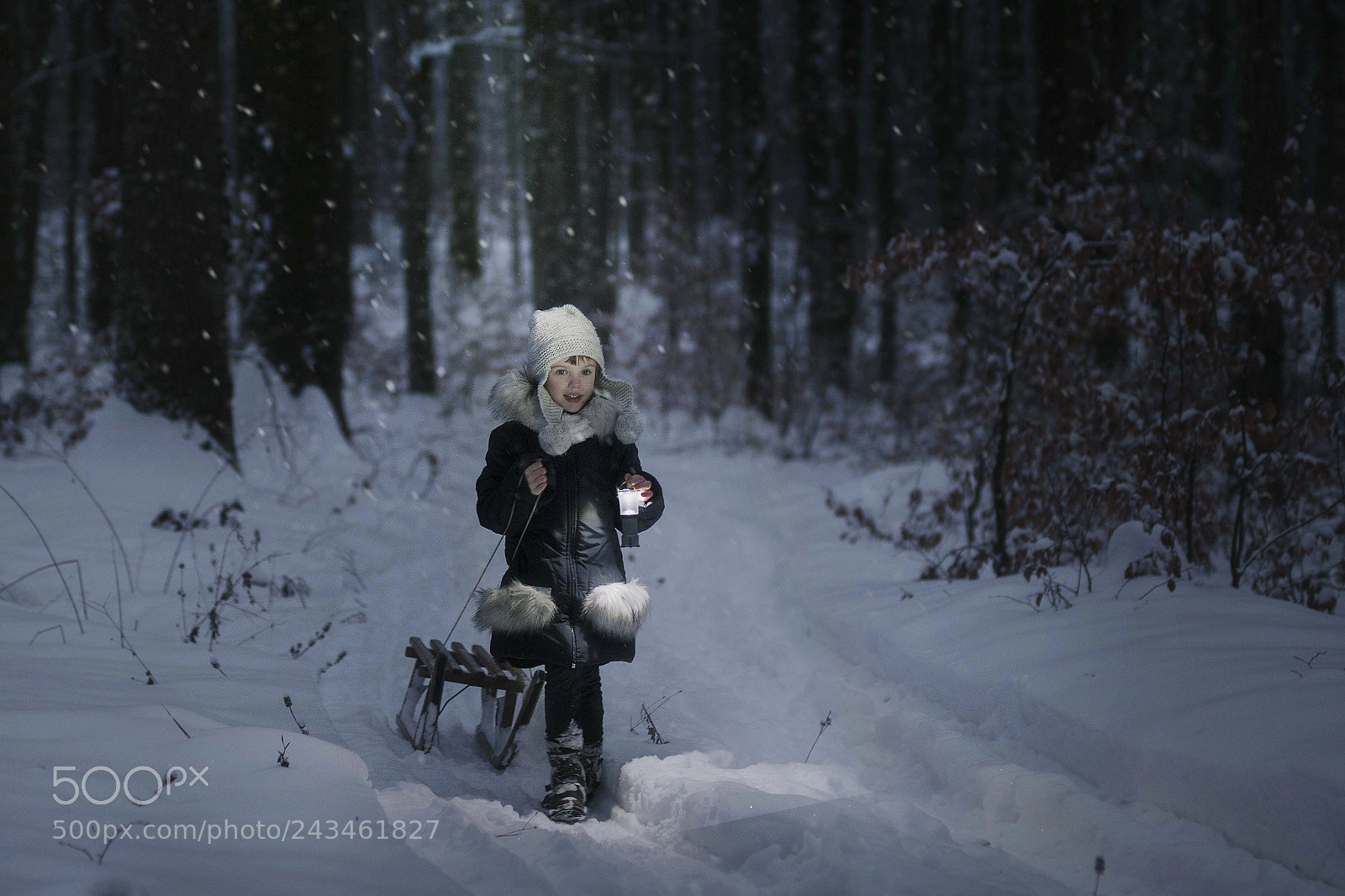 Canon EOS 750D (EOS Rebel T6i / EOS Kiss X8i) sample photo. Winter forest photography