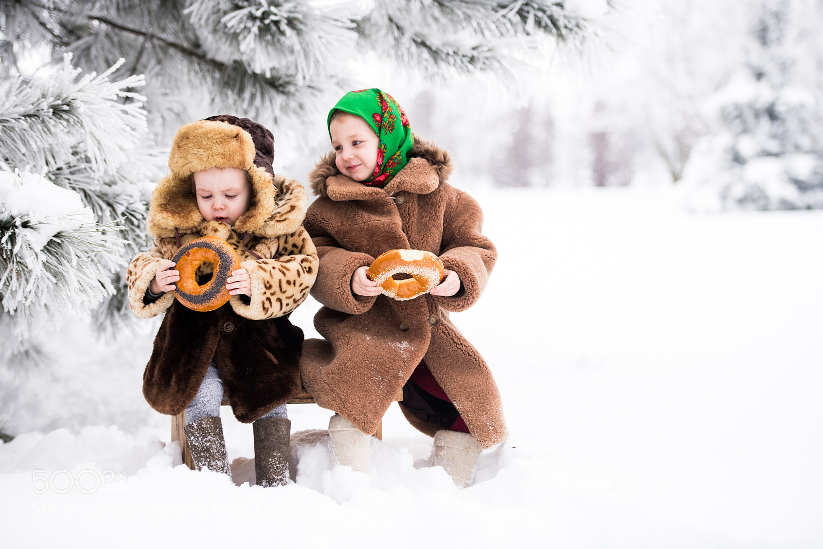 Nikon D850 sample photo. Tasty in the cold photography
