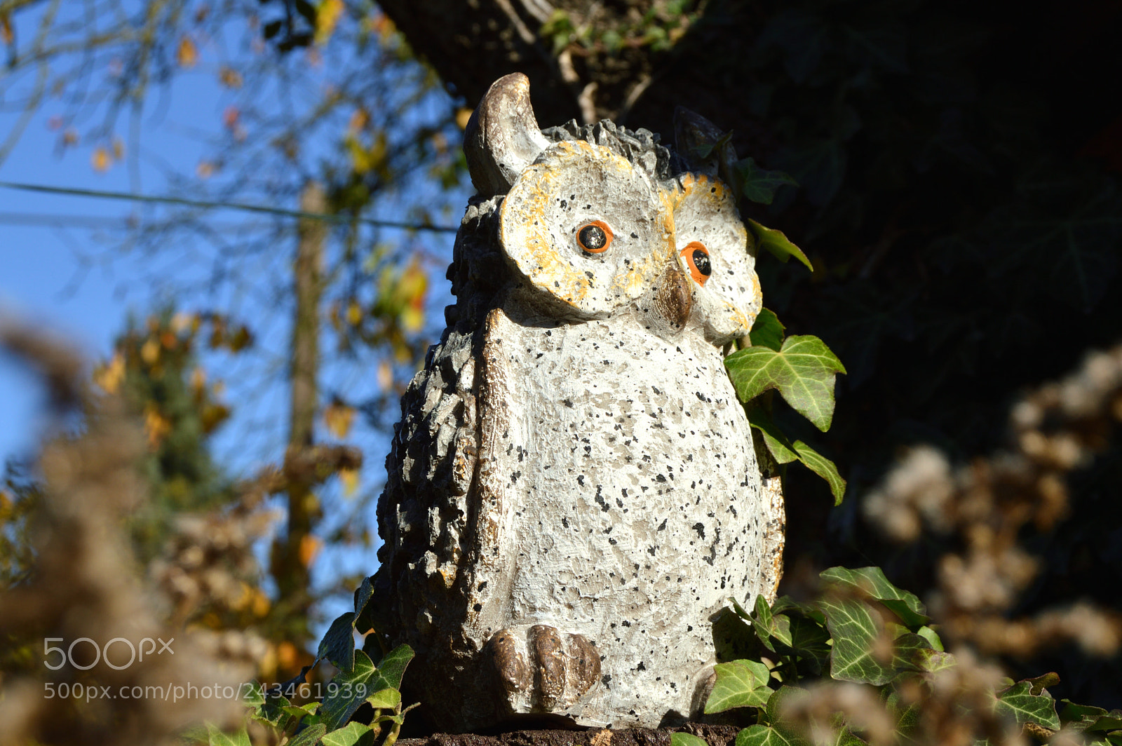 Nikon D3200 sample photo. Ceramic owl photography