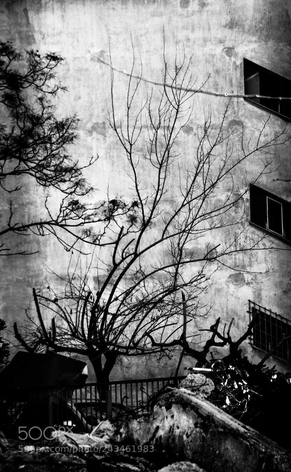Canon EOS 500D (EOS Rebel T1i / EOS Kiss X3) sample photo. From the ruins photography