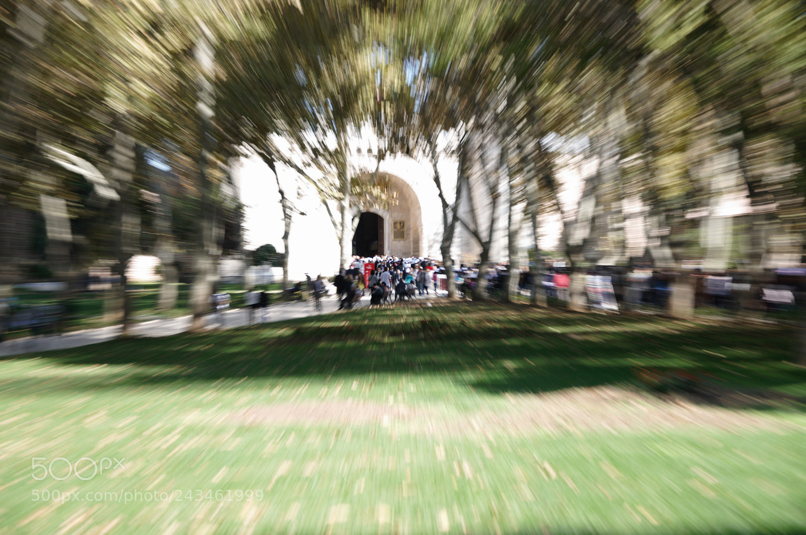 Nikon D90 sample photo. Untitled photography