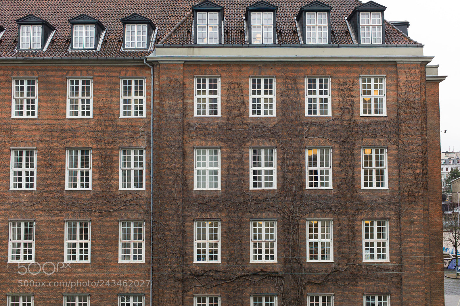 Leica M9 sample photo. Building with windows photography