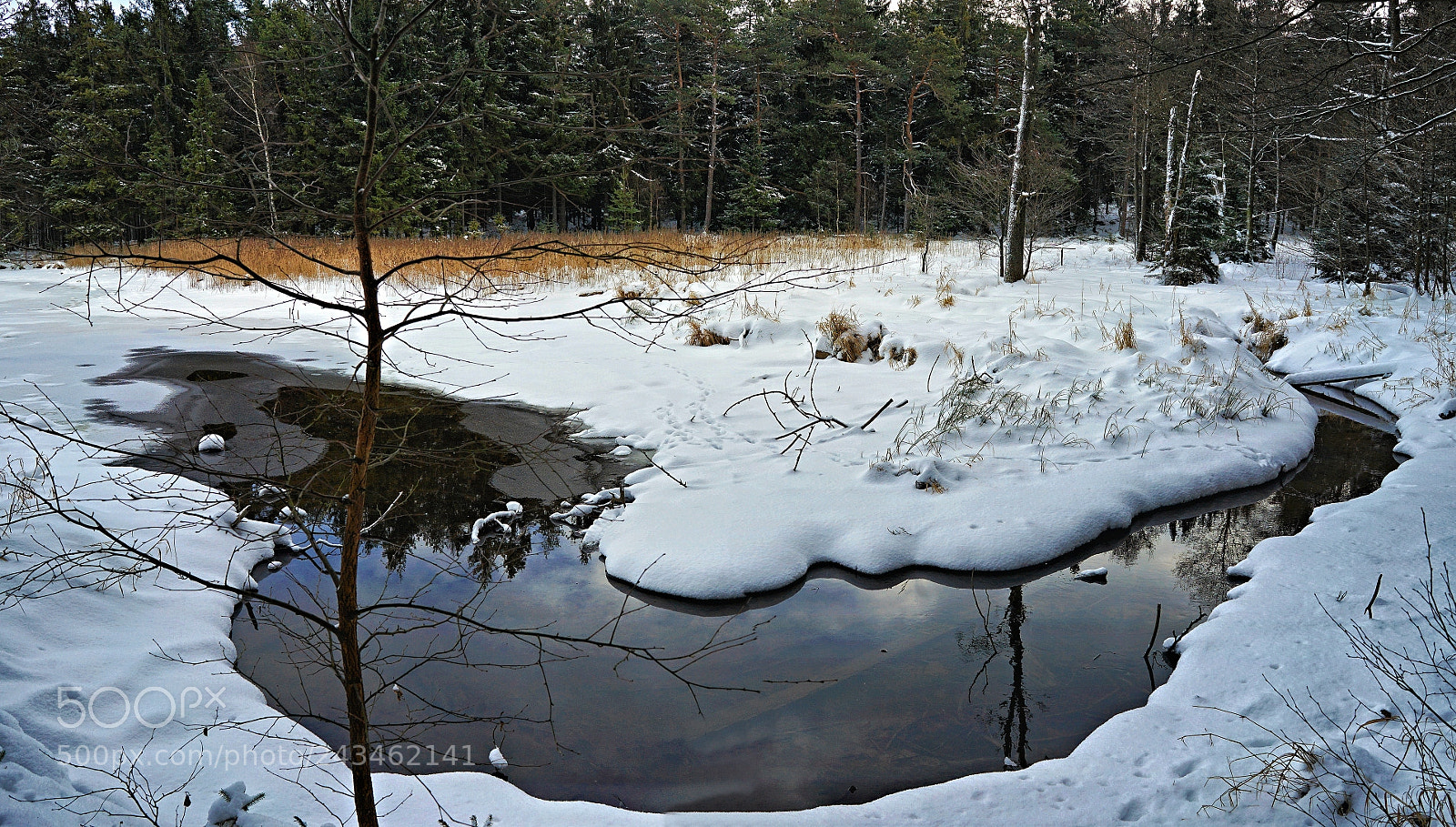 Sony a7 II sample photo. Winter brook photography