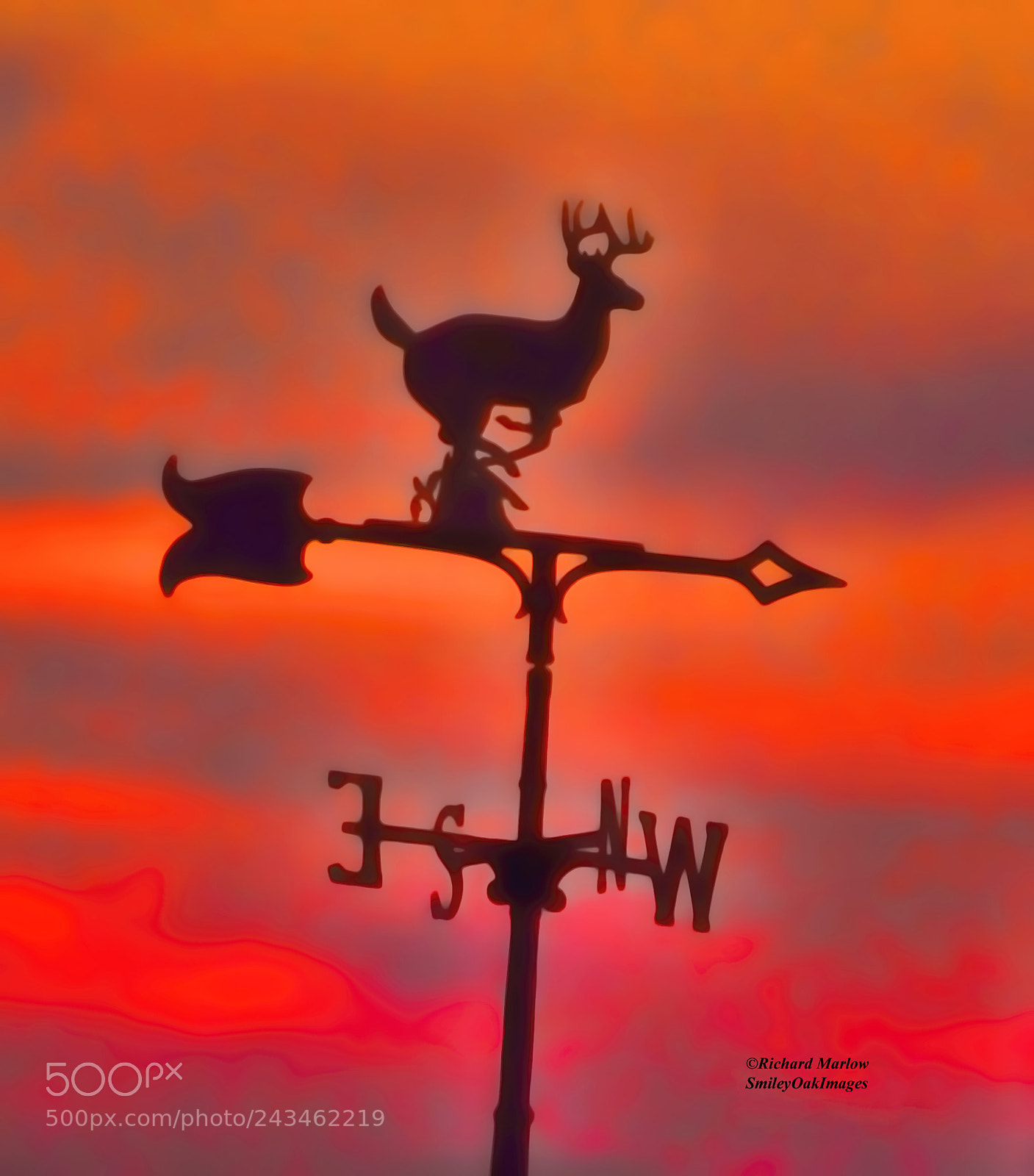Nikon D5000 sample photo. Weather vane sunset photography