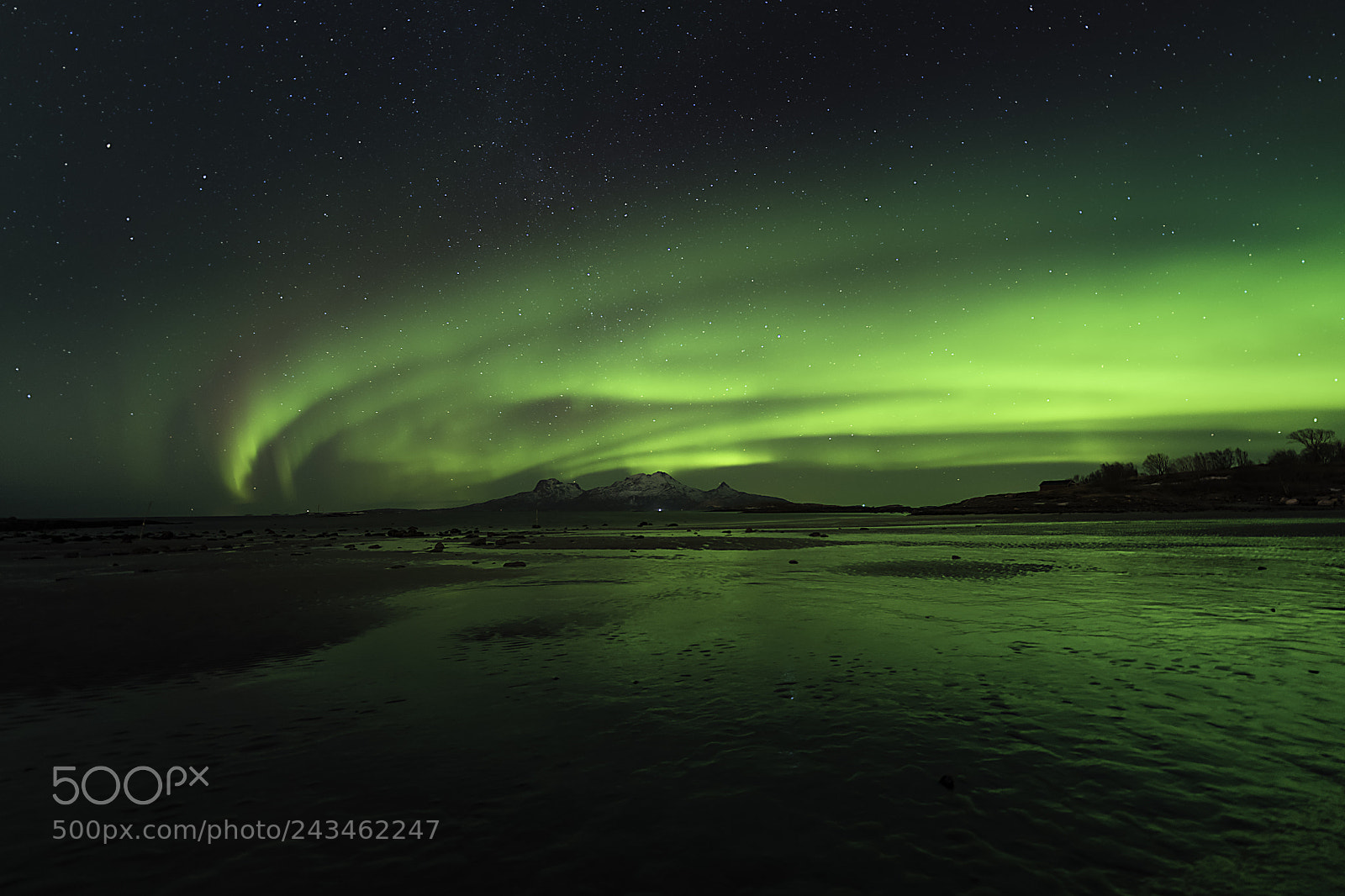 Nikon D850 sample photo. Winter light, northern lights photography