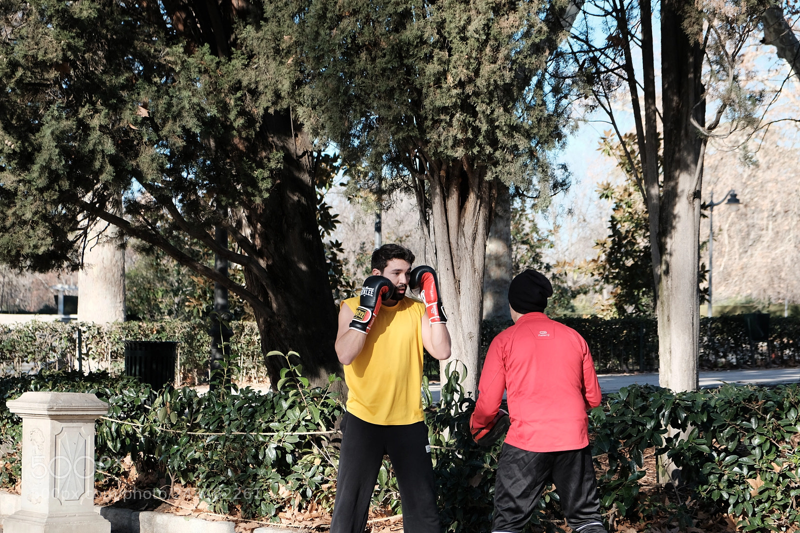Fujifilm X-T20 sample photo. Boxeo photography
