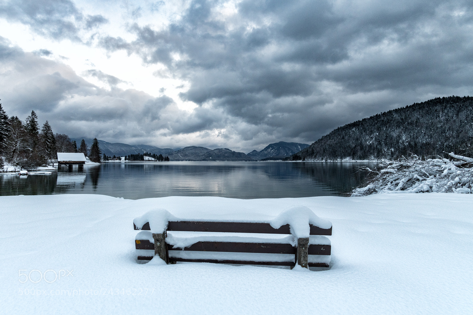 Nikon D850 sample photo. Bench photography