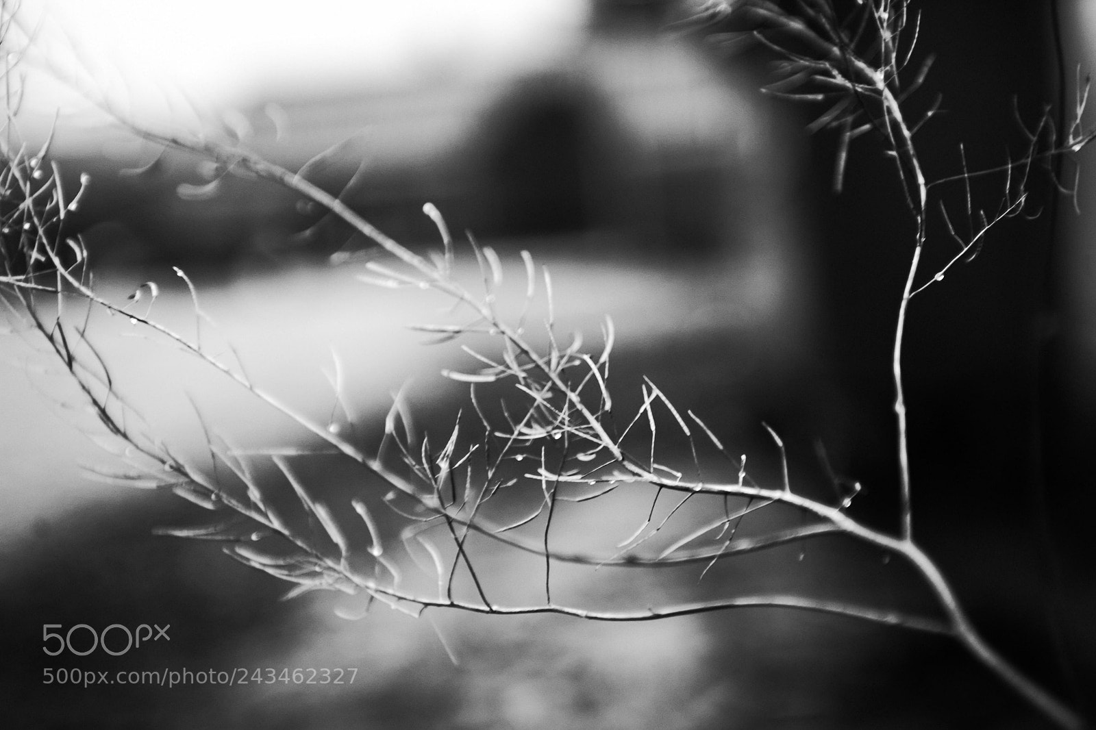 Canon EOS 5D sample photo. Off line photography