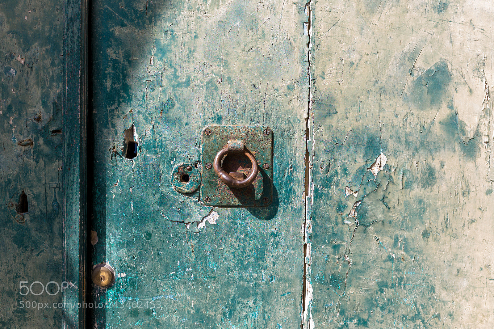 Leica M9 sample photo. Green door with knocker photography