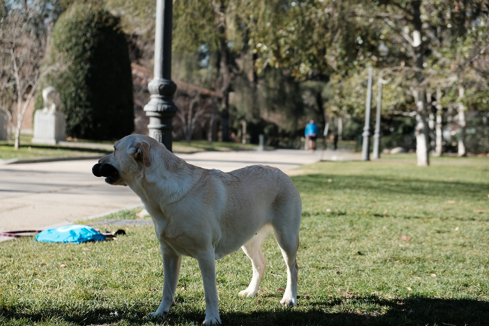 Fujifilm X-T20 sample photo. Untitled photography