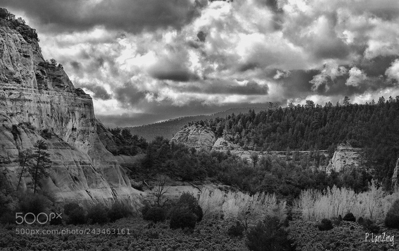 Olympus E-3 sample photo. Canyon light, new mexico photography