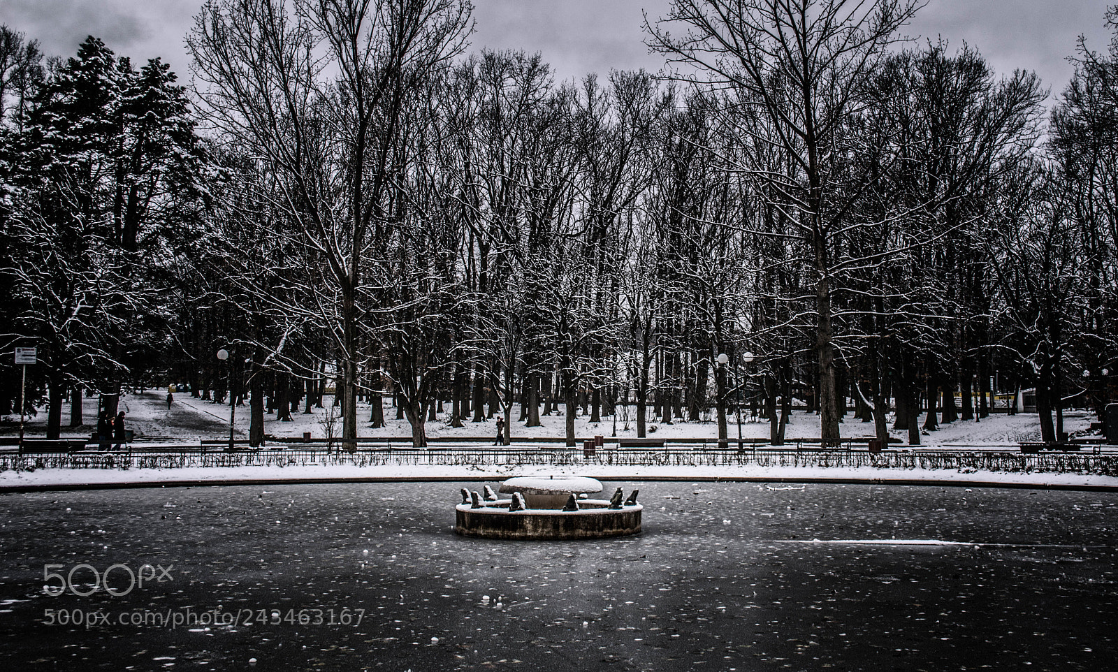 Nikon D3200 sample photo. Frozen fountain of frogs photography