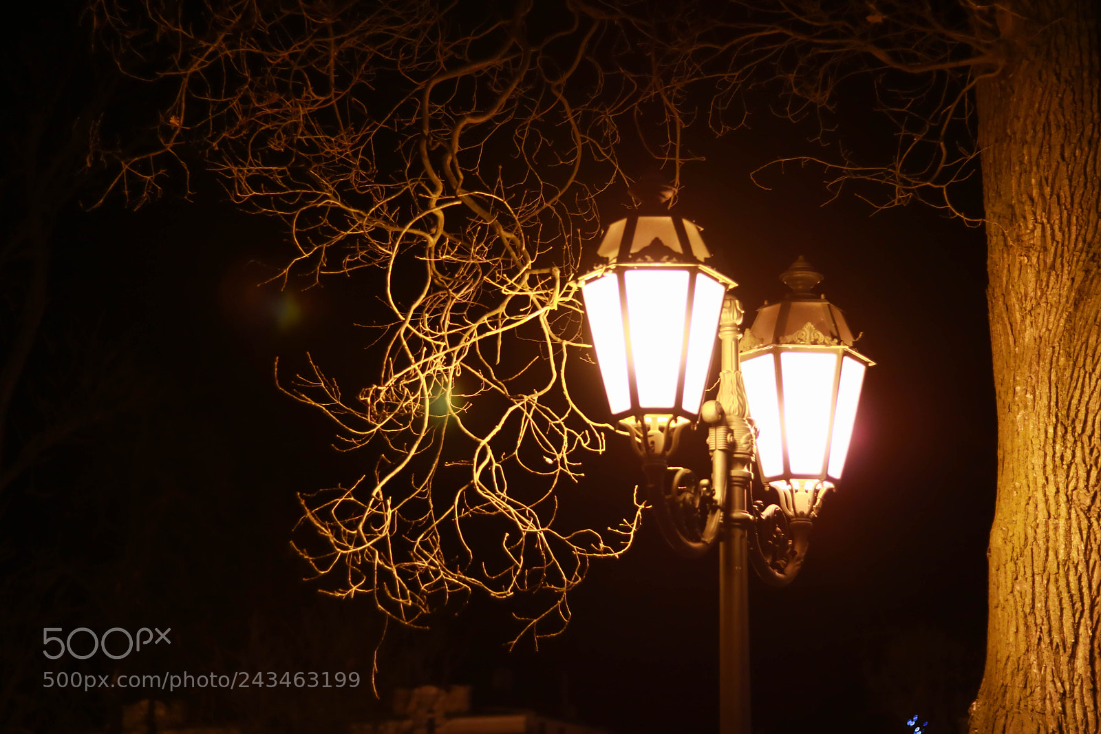 Canon EOS 760D (EOS Rebel T6s / EOS 8000D) sample photo. Lonerly winter night photography