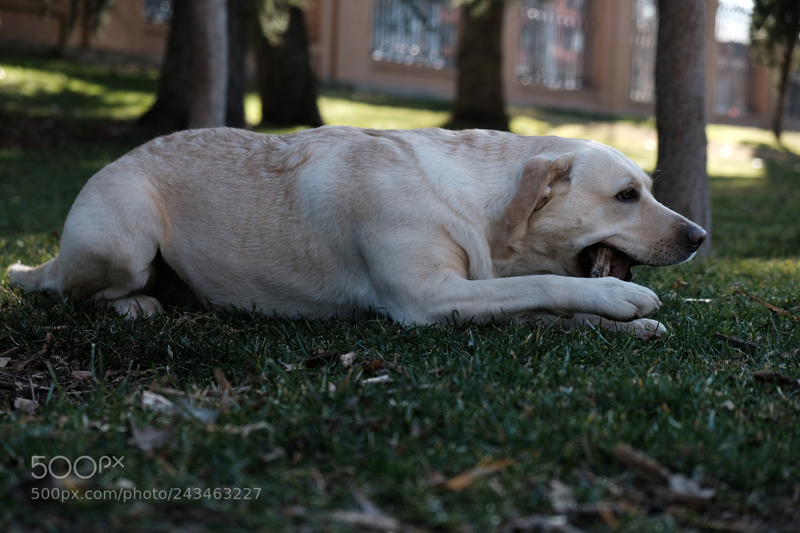 Fujifilm X-T20 sample photo. Untitled photography