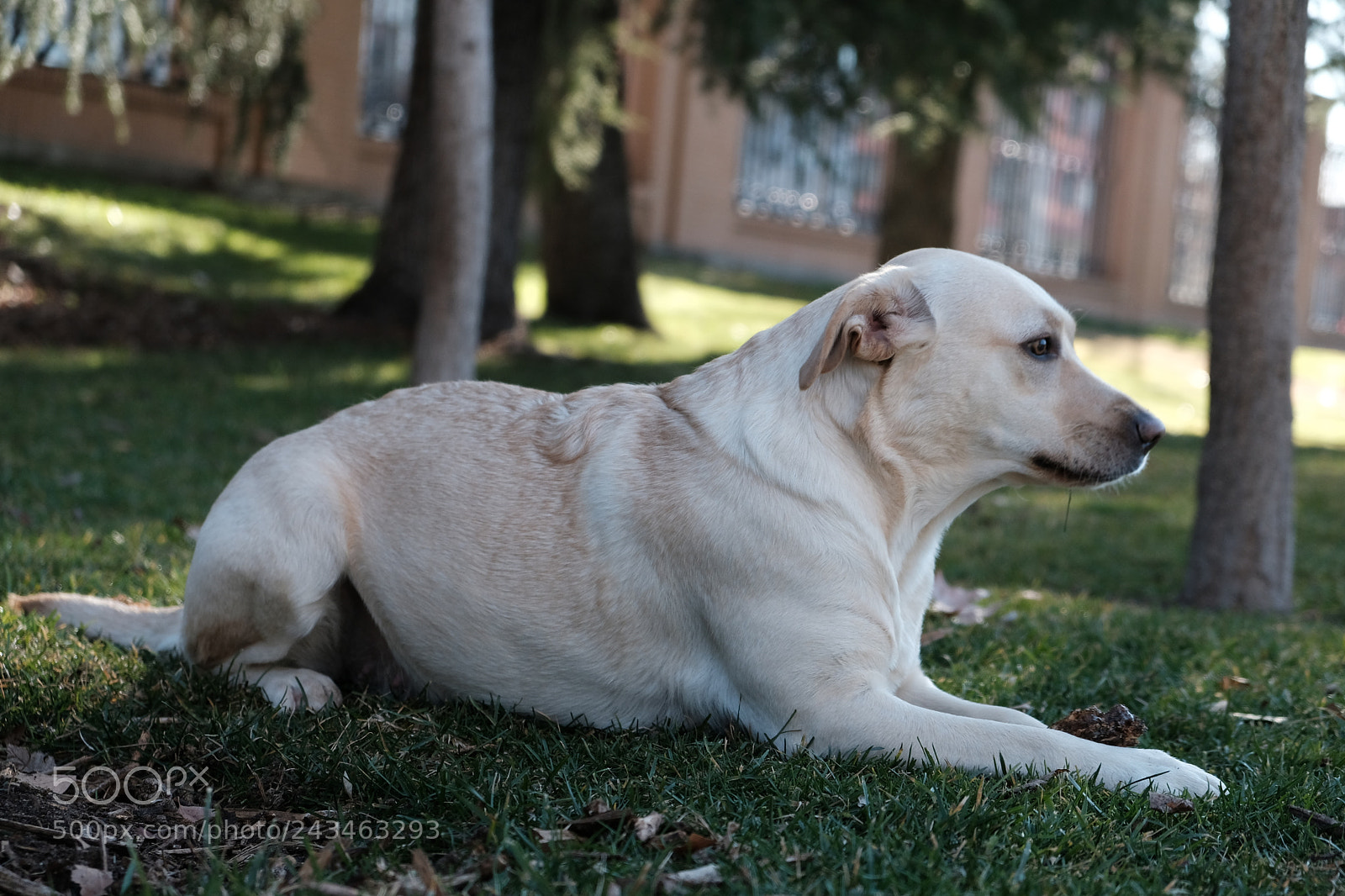 Fujifilm X-T20 sample photo. Untitled photography