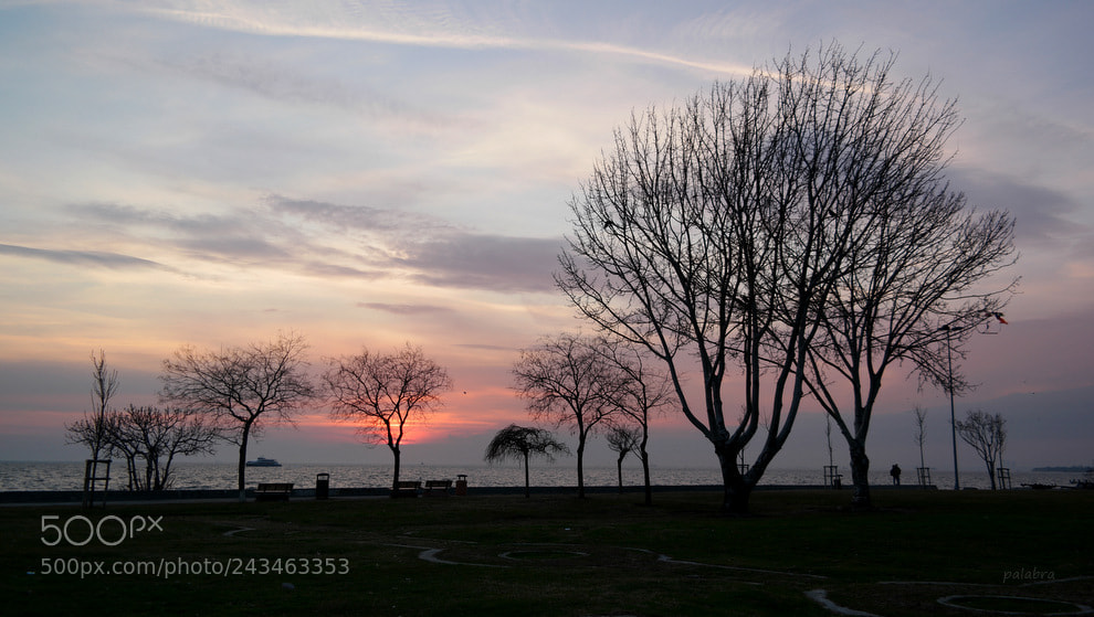 Samsung NX1 sample photo. ... photography