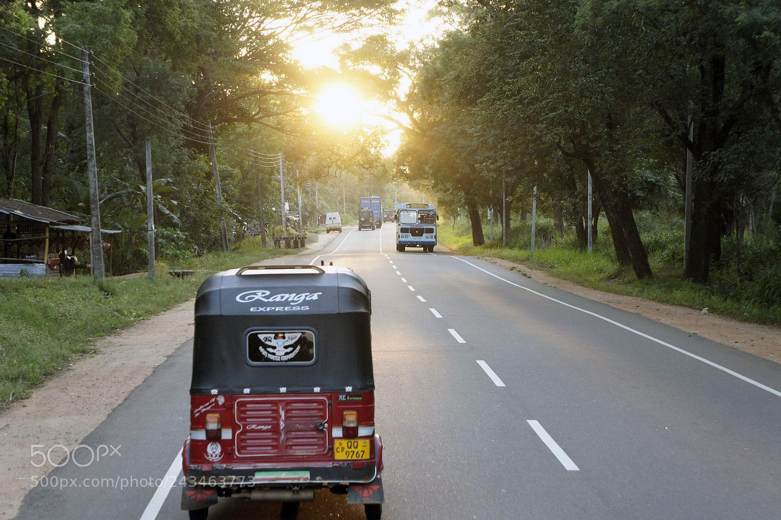 Sony Alpha NEX-5 sample photo. Sri lanka 2014, shoot photography