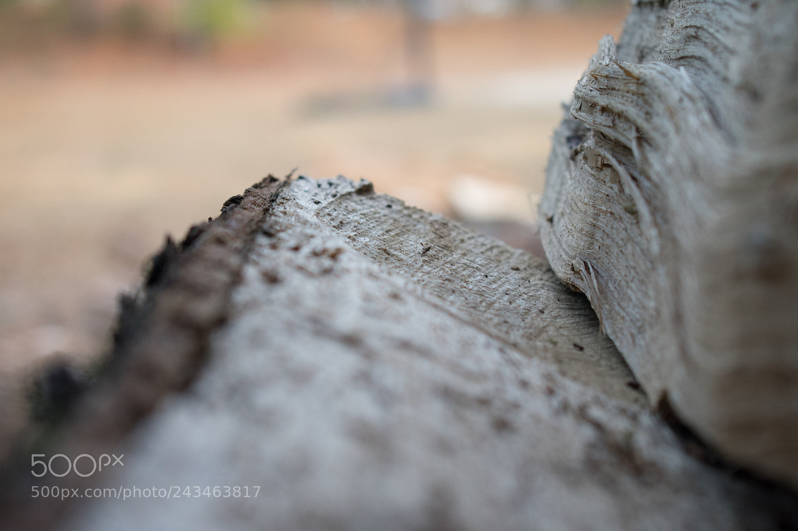 Nikon D3400 sample photo. 38762119565.jpg photography