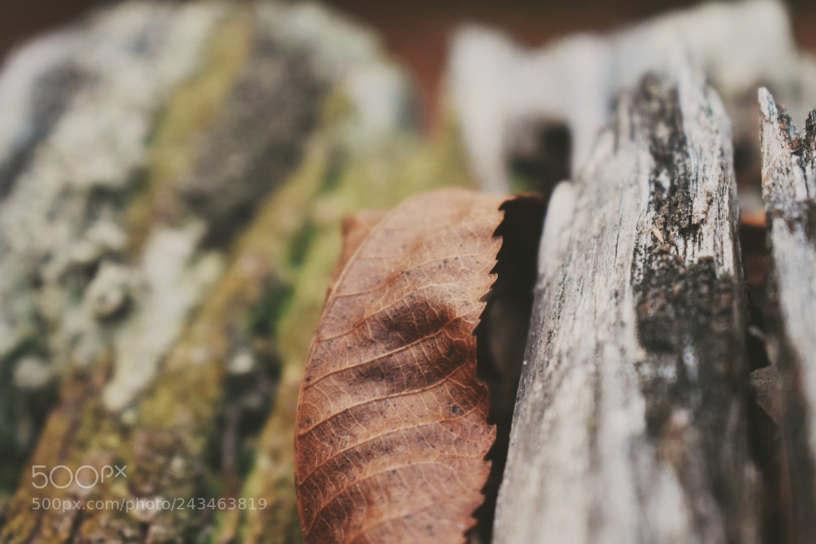 Nikon D3400 sample photo. 25928489118.jpg photography