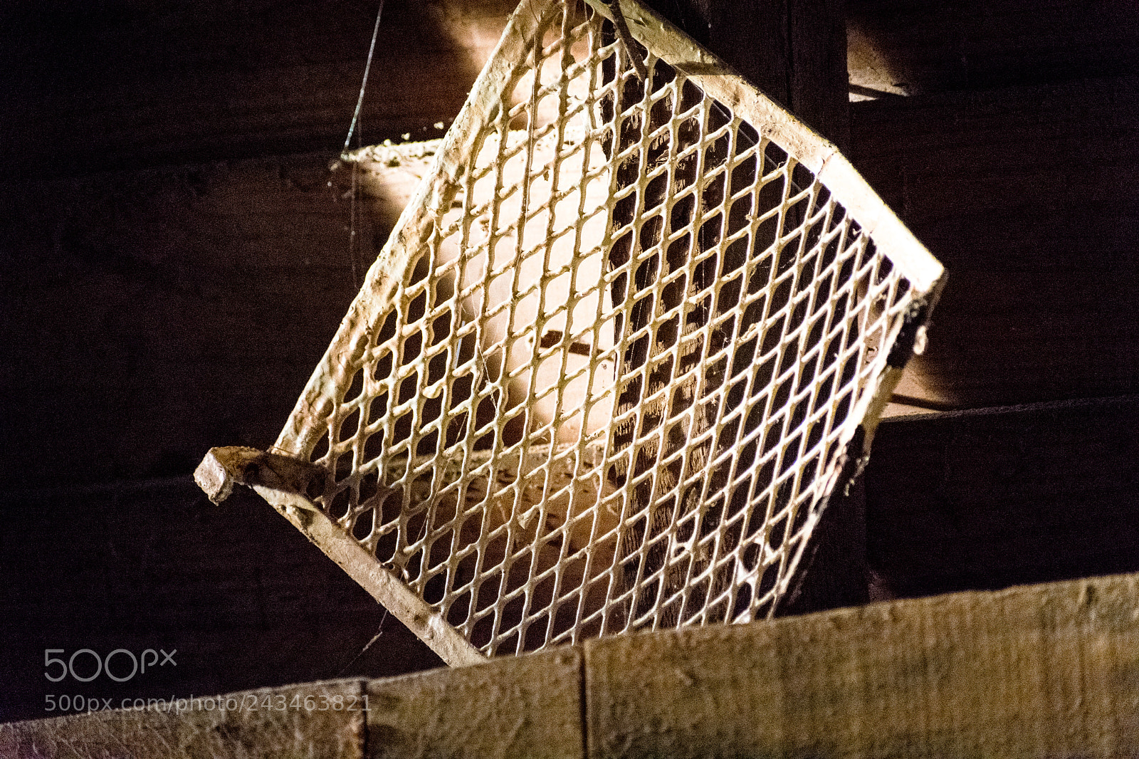 Nikon D3400 sample photo. 39659351991.jpg photography