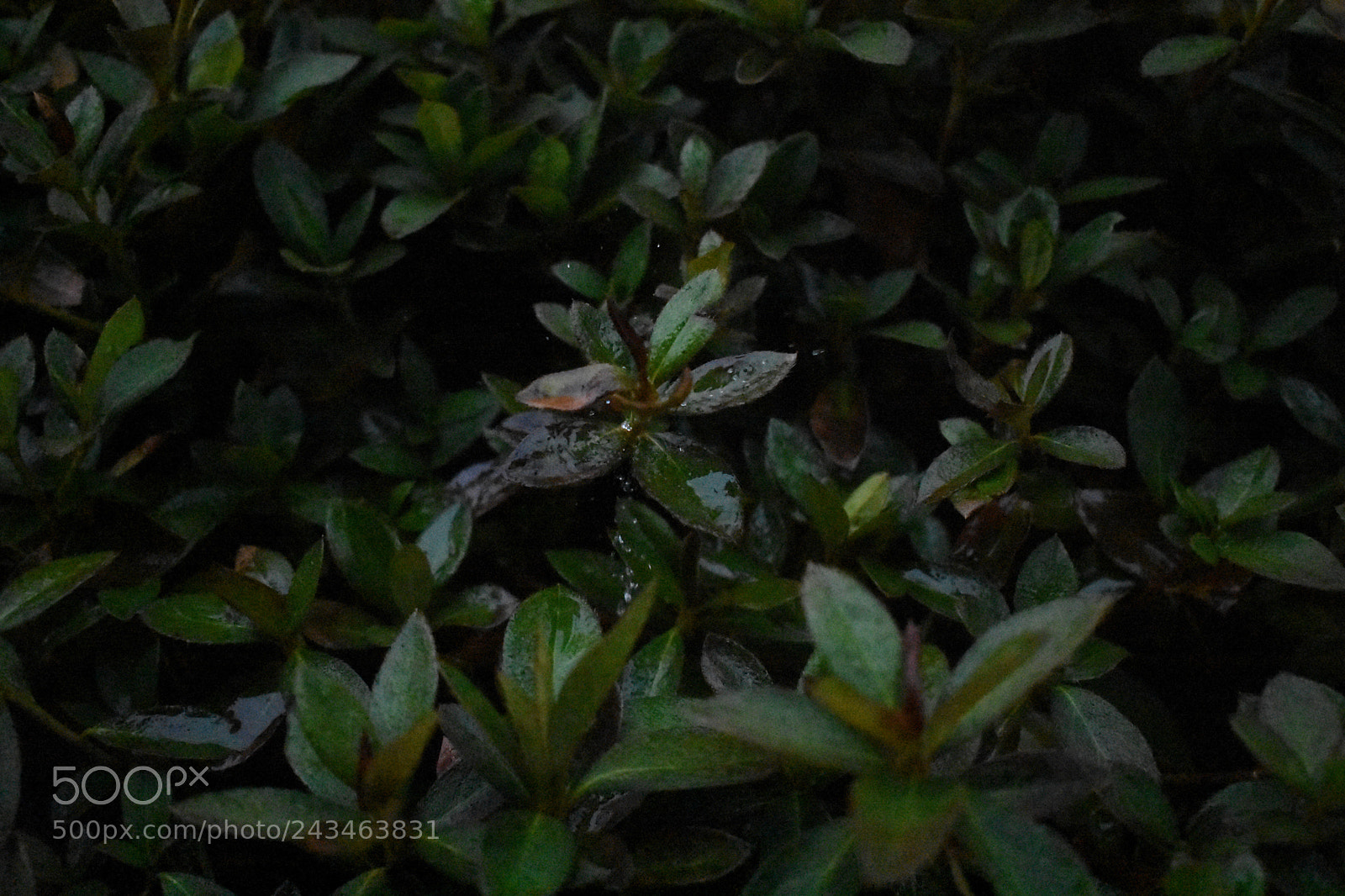 Nikon D3400 sample photo. 38949610544.jpg photography