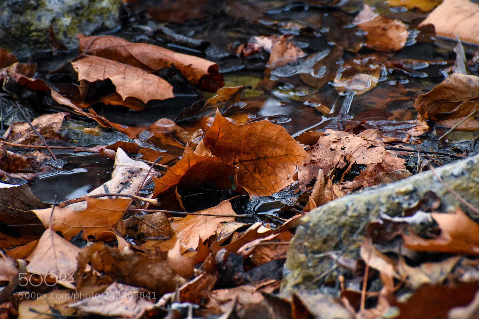 Nikon D3400 sample photo. 38755626715.jpg photography