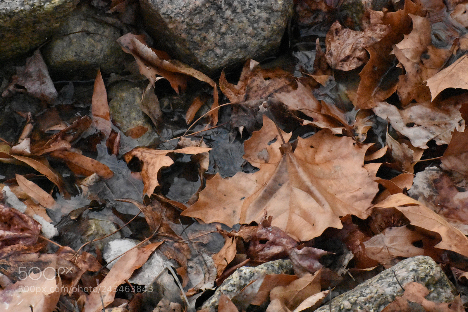 Nikon D3400 sample photo. 38755730325.jpg photography