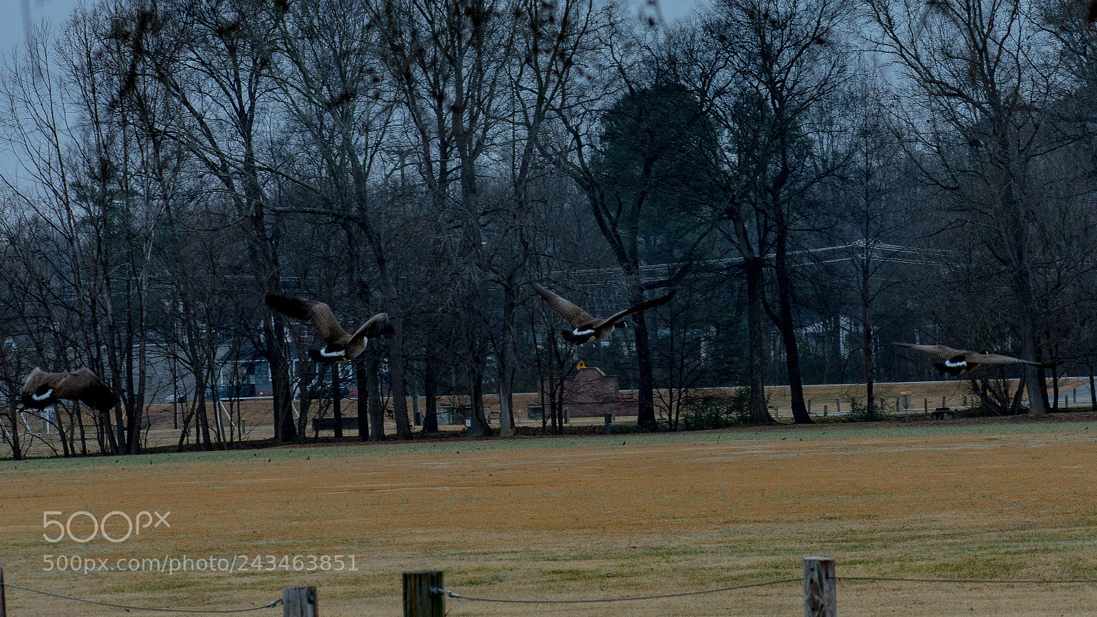 Nikon D3400 sample photo. 38755745115.jpg photography