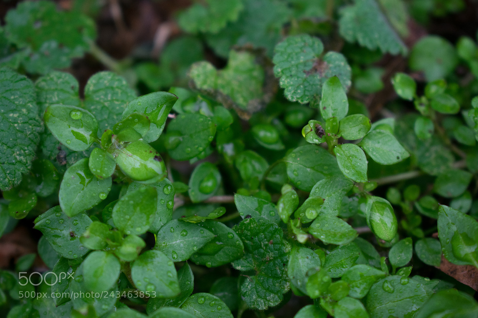 Nikon D3400 sample photo. 38943573884.jpg photography