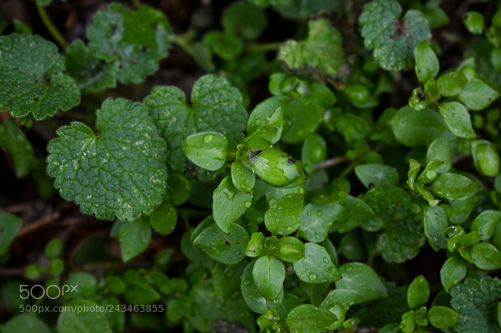 Nikon D3400 sample photo. 39652512701.jpg photography